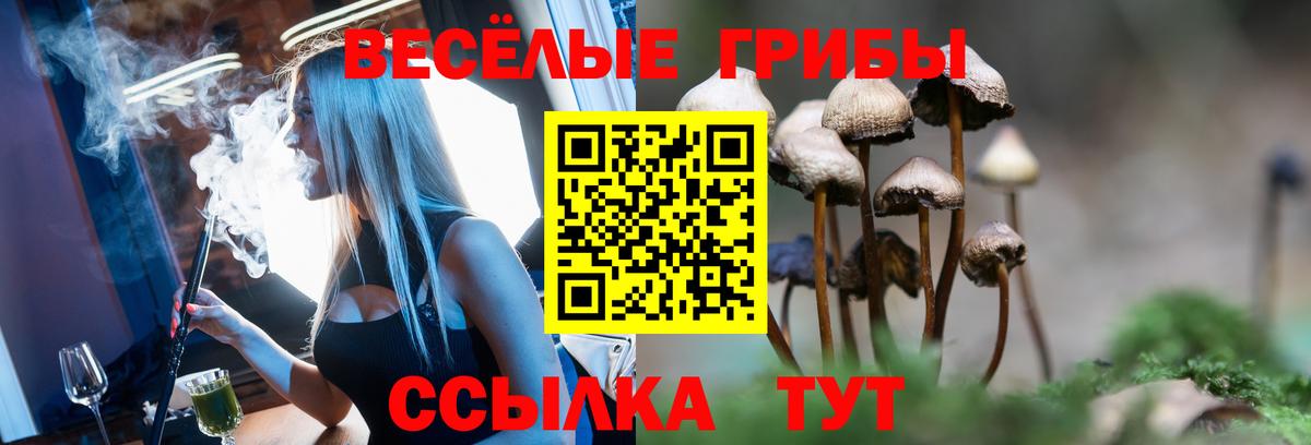 Псилоцибиновые грибы MAGIC MUSHROOMS  Вход с VPN  Якутск 